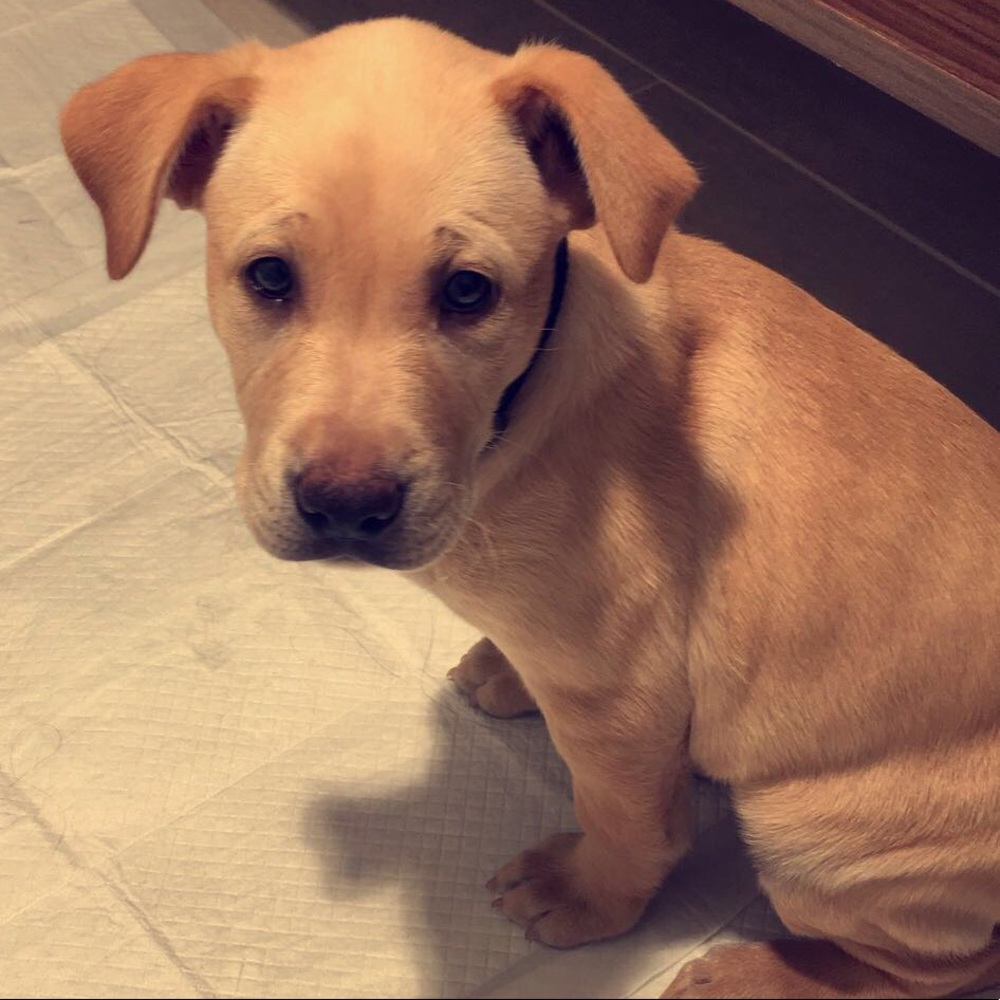 Meet your Posher, Maria